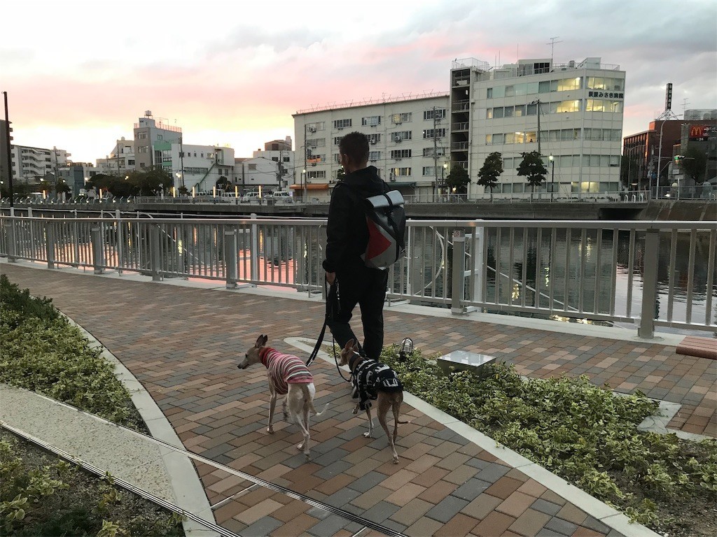f:id:joju8:20181016212456j:image