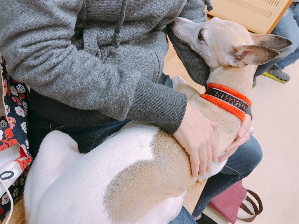 f:id:joju8:20181029154507j:image