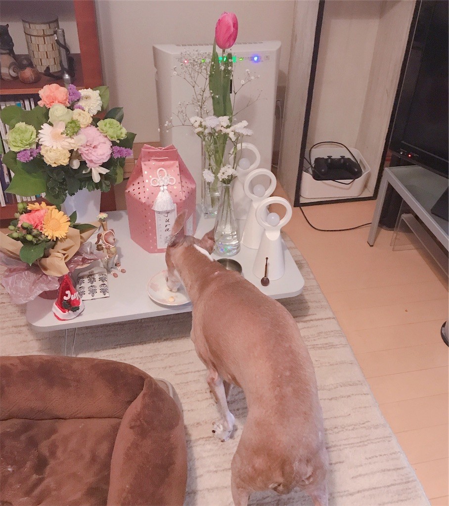 f:id:joju8:20181228223249j:plain