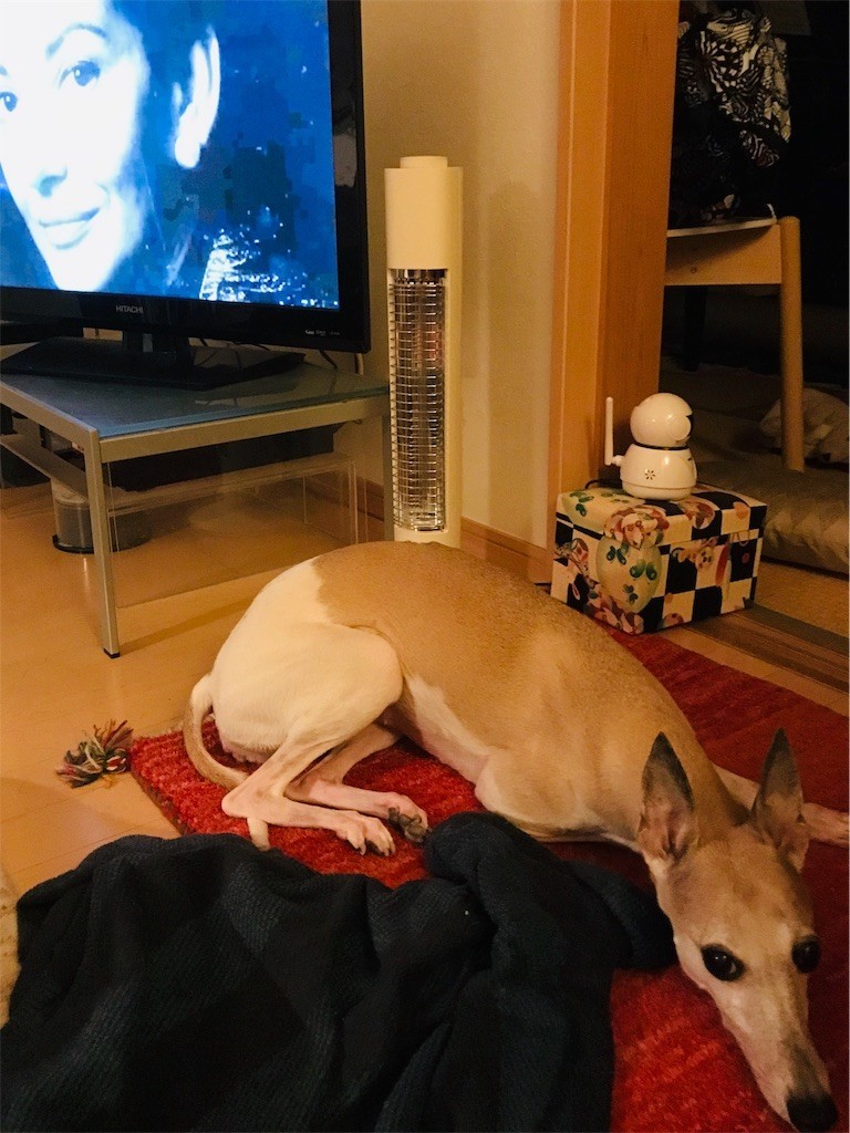 f:id:joju8:20190115135207j:image