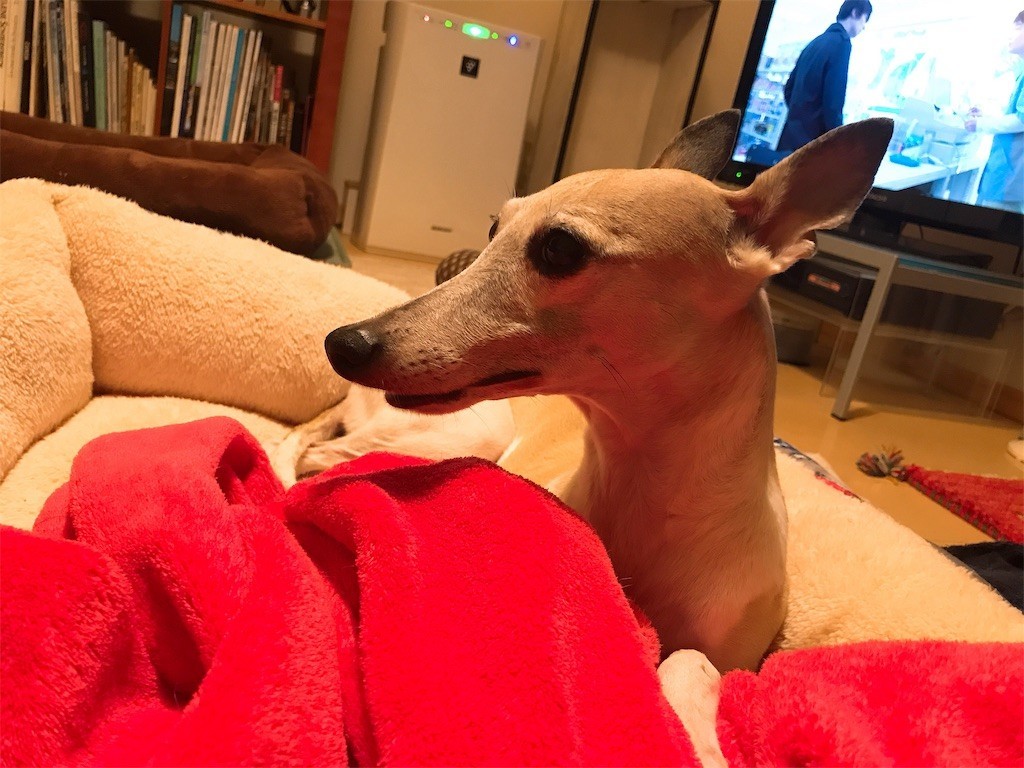 f:id:joju8:20190115135210j:image