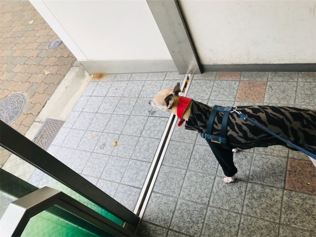 f:id:joju8:20190115135215j:image