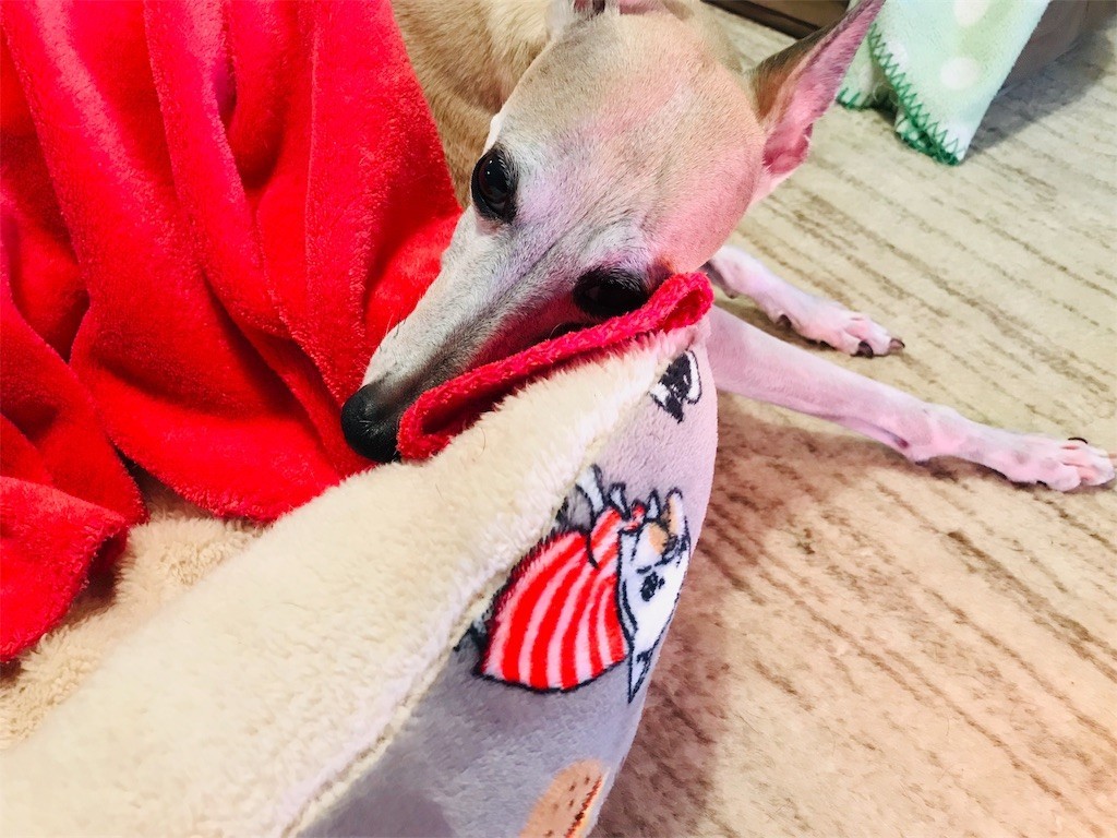 f:id:joju8:20190115135309j:image