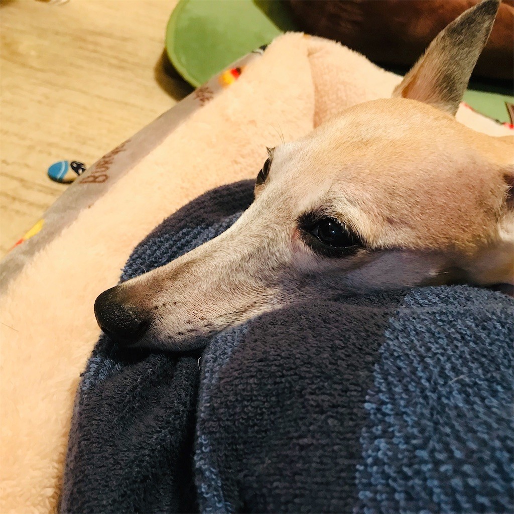 f:id:joju8:20190115135314j:image