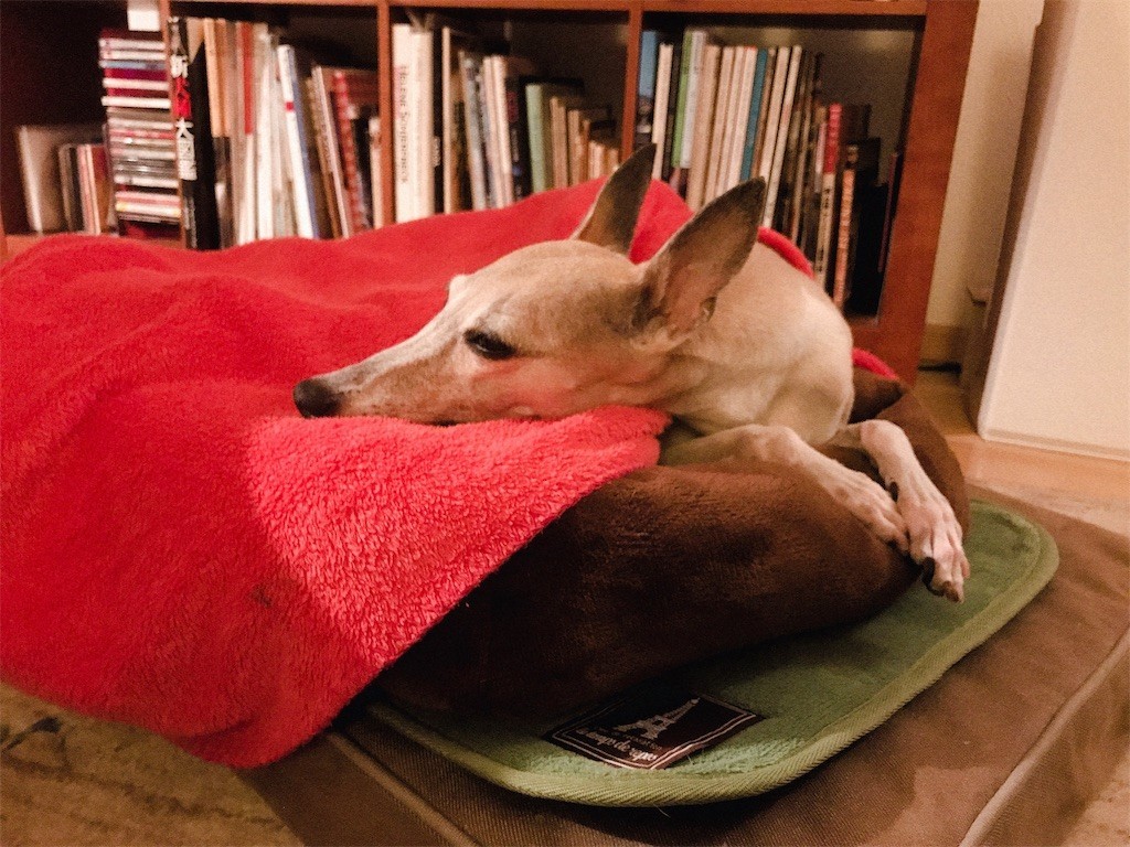 f:id:joju8:20190119231340j:image