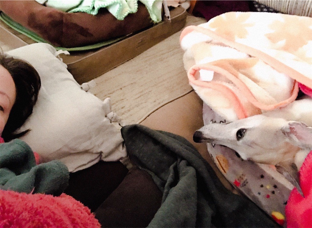 f:id:joju8:20190120215732j:image