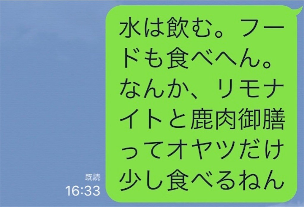 f:id:joju8:20190121230321j:plain