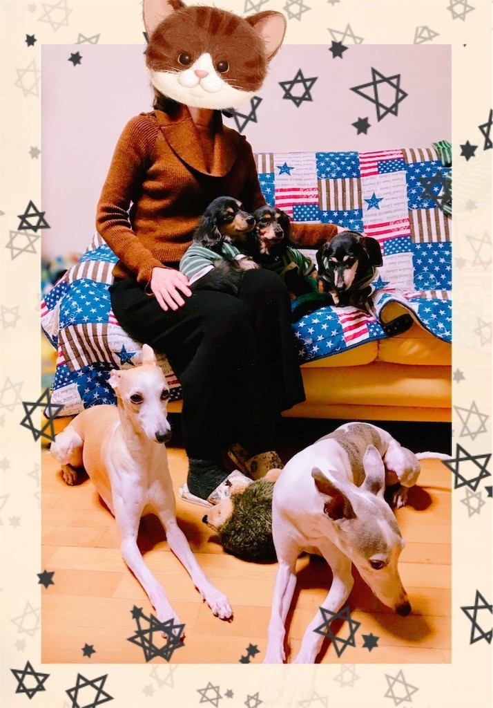 f:id:joju8:20190211122500j:image f:id:joju8:20190211122500j:image