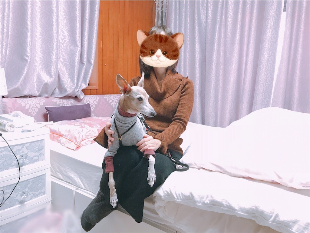 f:id:joju8:20190211122525j:plain f:id:joju8:20190211122525j:plain