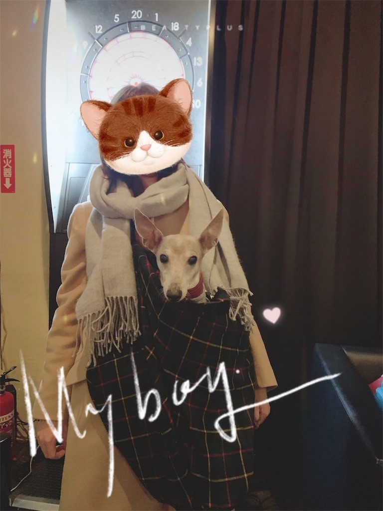 f:id:joju8:20190211122550j:image f:id:joju8:20190211122550j:image