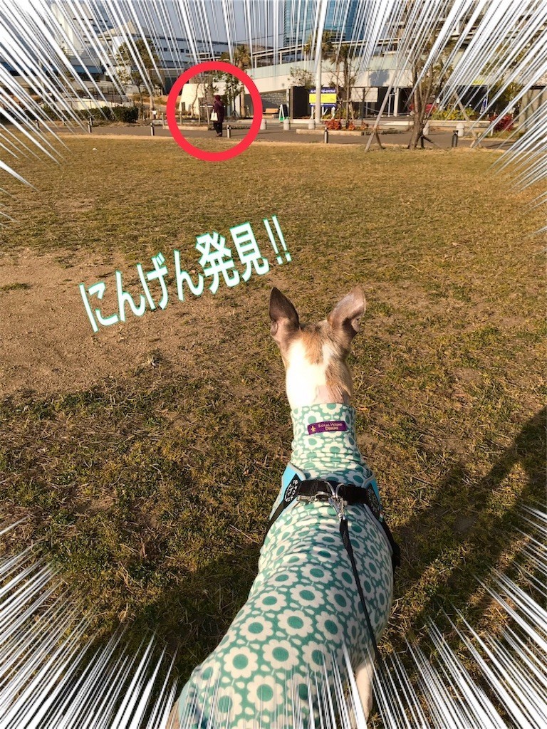 f:id:joju8:20190221230450j:image
