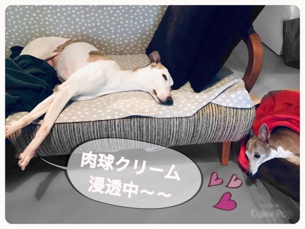 f:id:joju8:20190306133952j:image