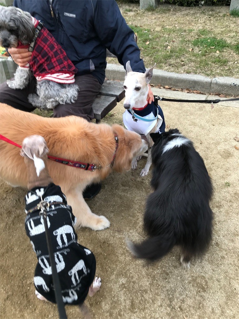 f:id:joju8:20190406143154j:image