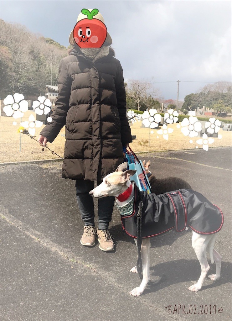 f:id:joju8:20190408060320j:image f:id:joju8:20190408060320j:image
