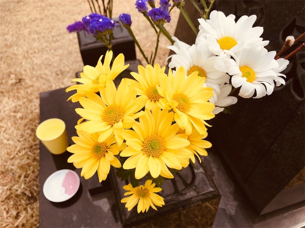 f:id:joju8:20190408071433j:image f:id:joju8:20190408071433j:image
