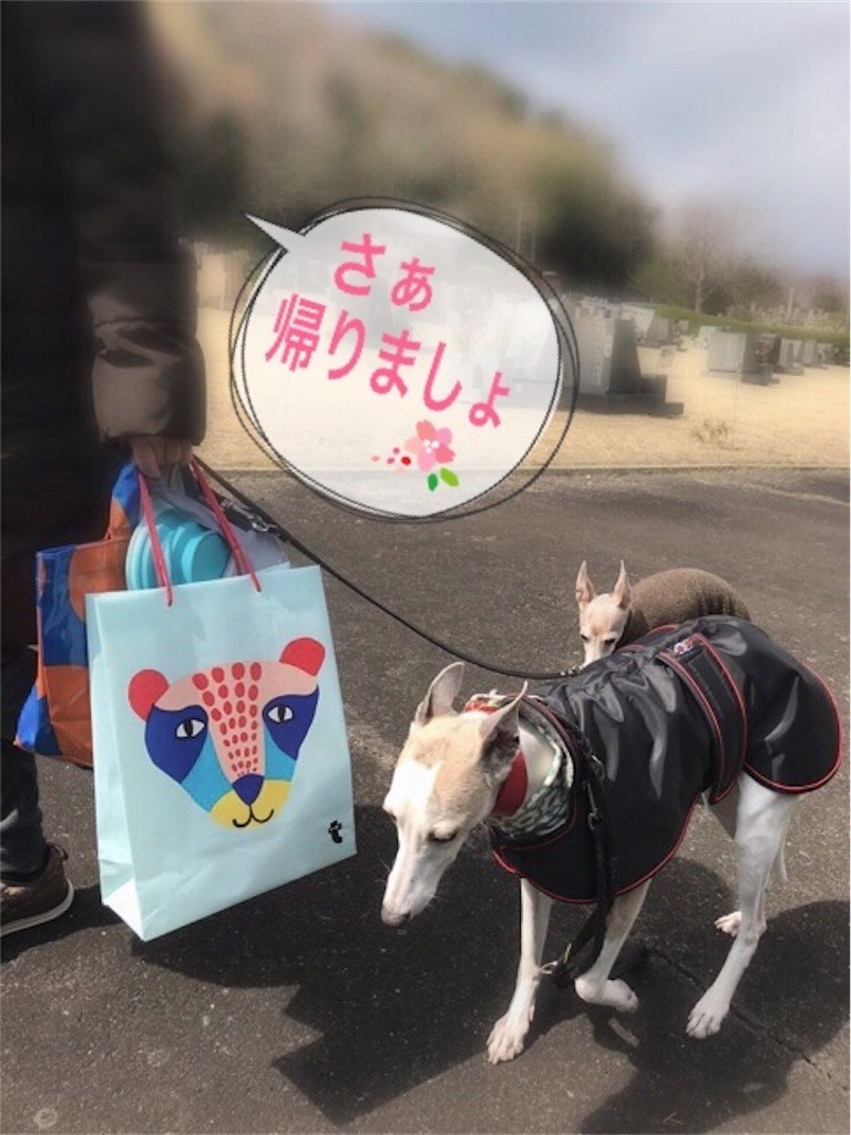 f:id:joju8:20190408074347j:image f:id:joju8:20190408074347j:image