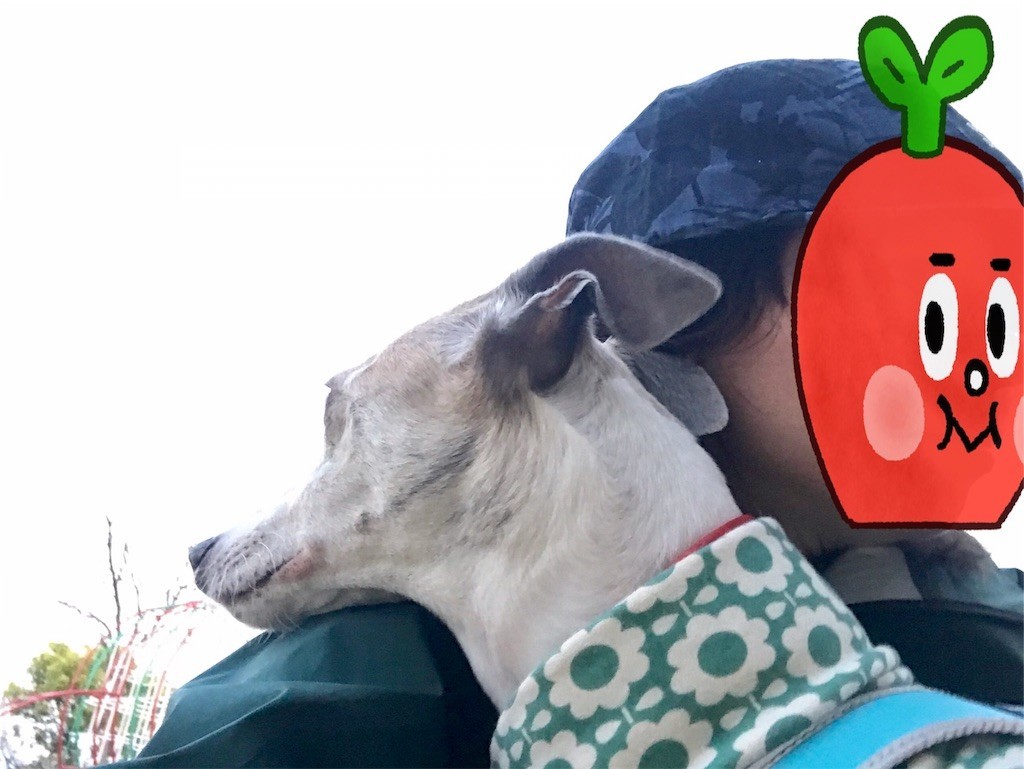 f:id:joju8:20190408082306j:image
