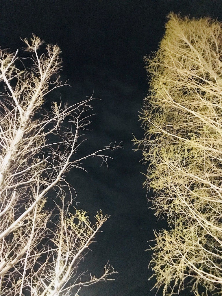 f:id:joju8:20190410115203j:image