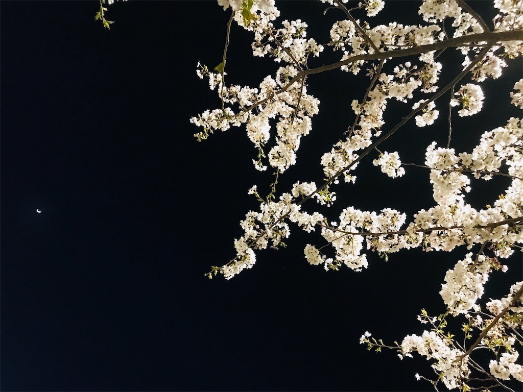 f:id:joju8:20190410115503j:image