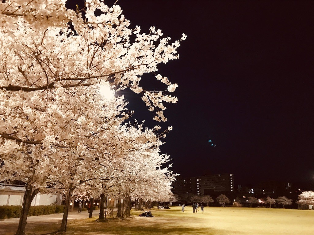 f:id:joju8:20190410115511j:image