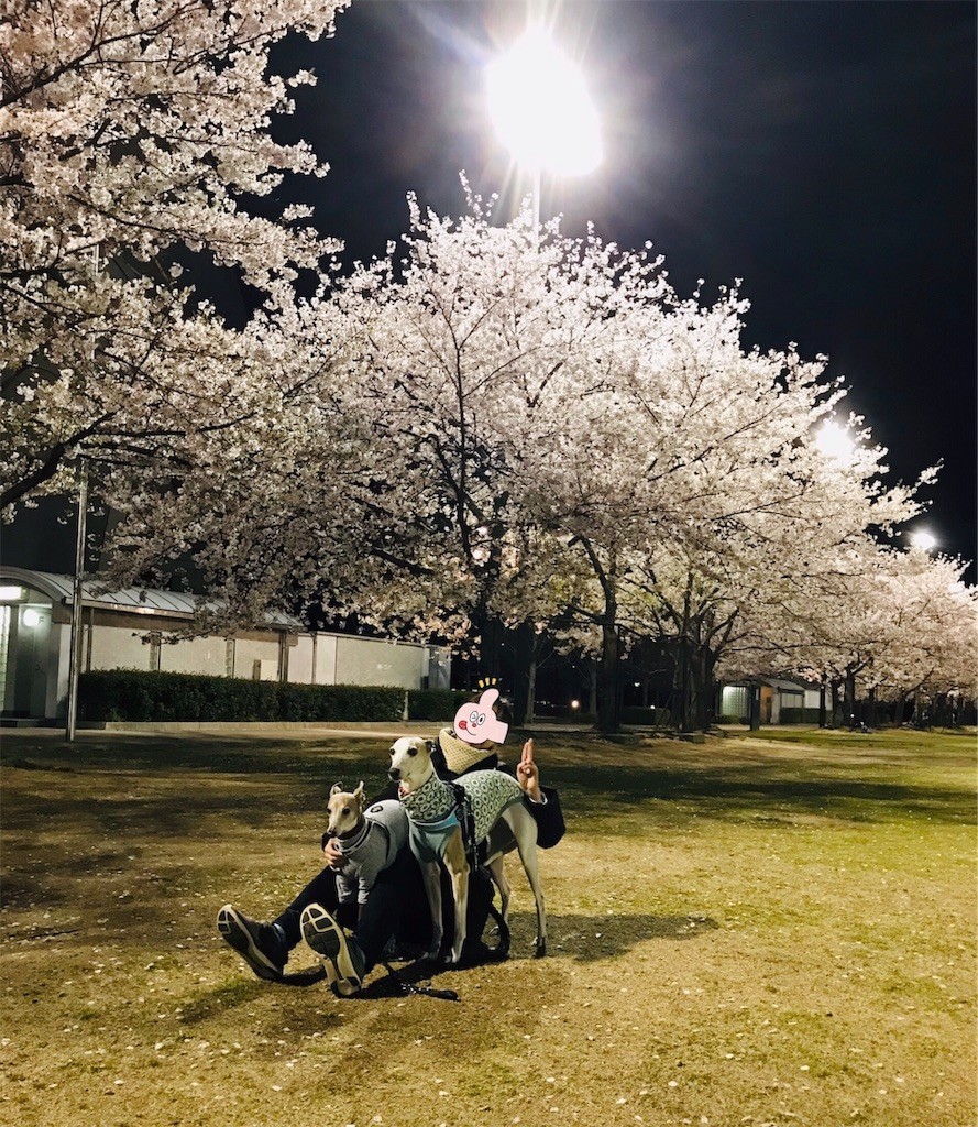 f:id:joju8:20190412130051j:image
