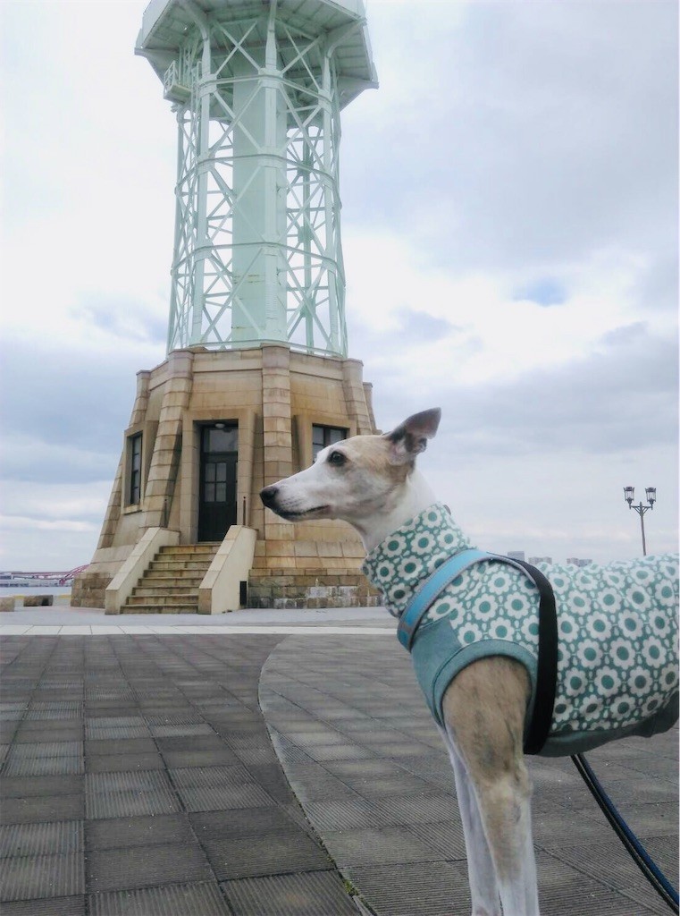 f:id:joju8:20190413224214j:image