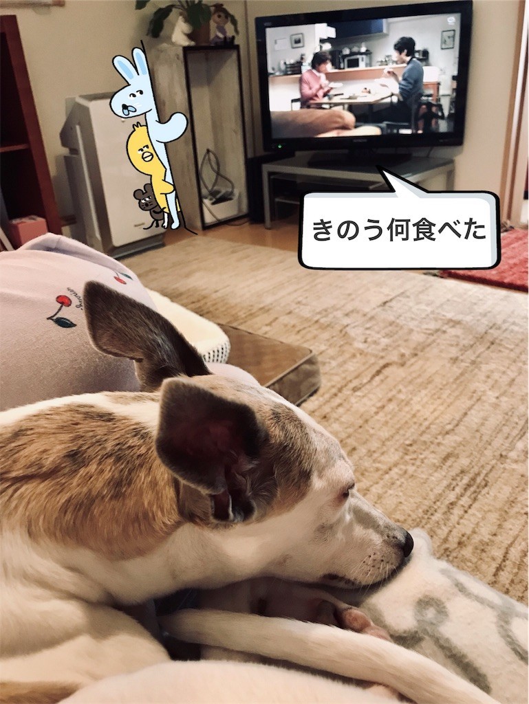 f:id:joju8:20190512130157j:image f:id:joju8:20190512130157j:image