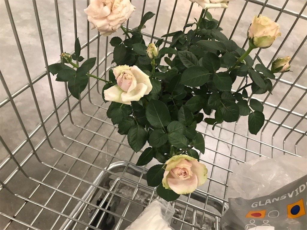 f:id:joju8:20190621234234j:image