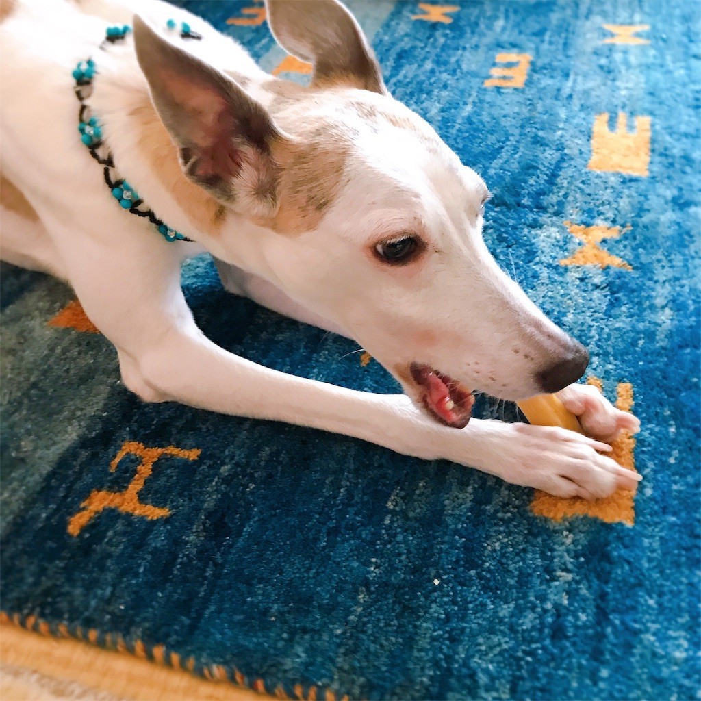 f:id:joju8:20190722161815j:image