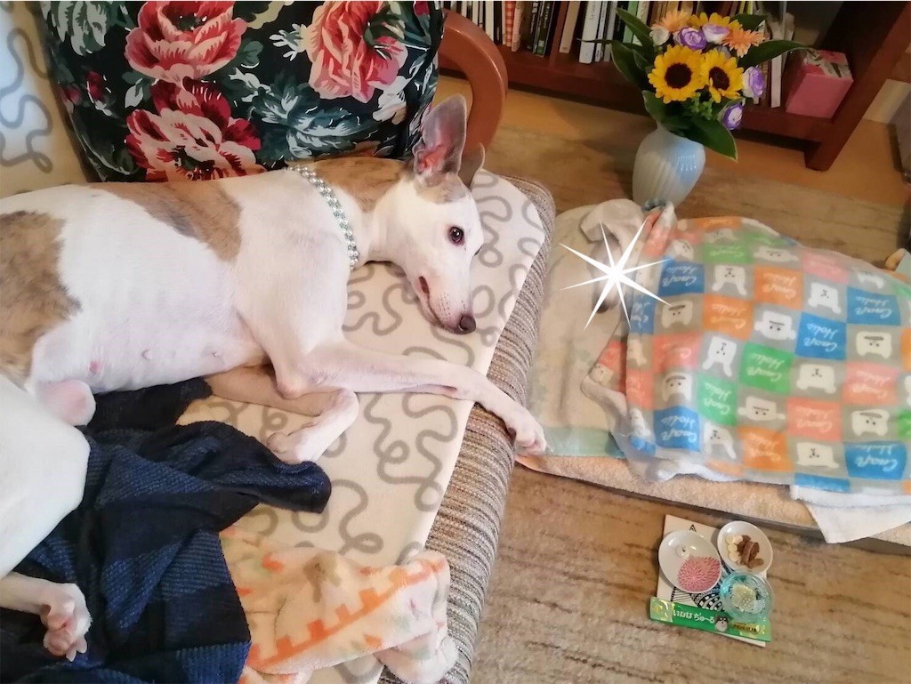 f:id:joju8:20190915114008j:image