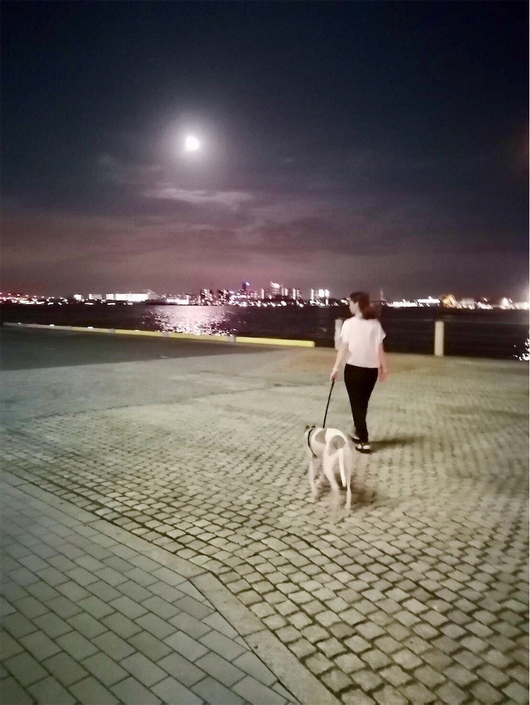 f:id:joju8:20190915114043j:image