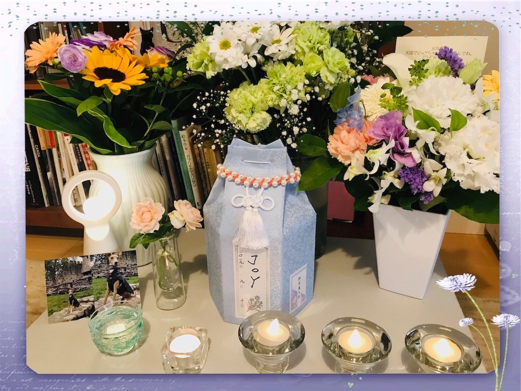 f:id:joju8:20190915115147j:image