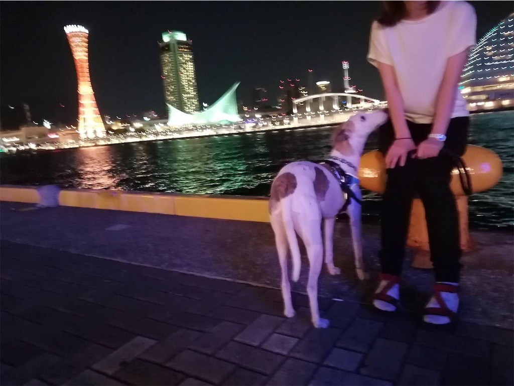 f:id:joju8:20190915120646j:image