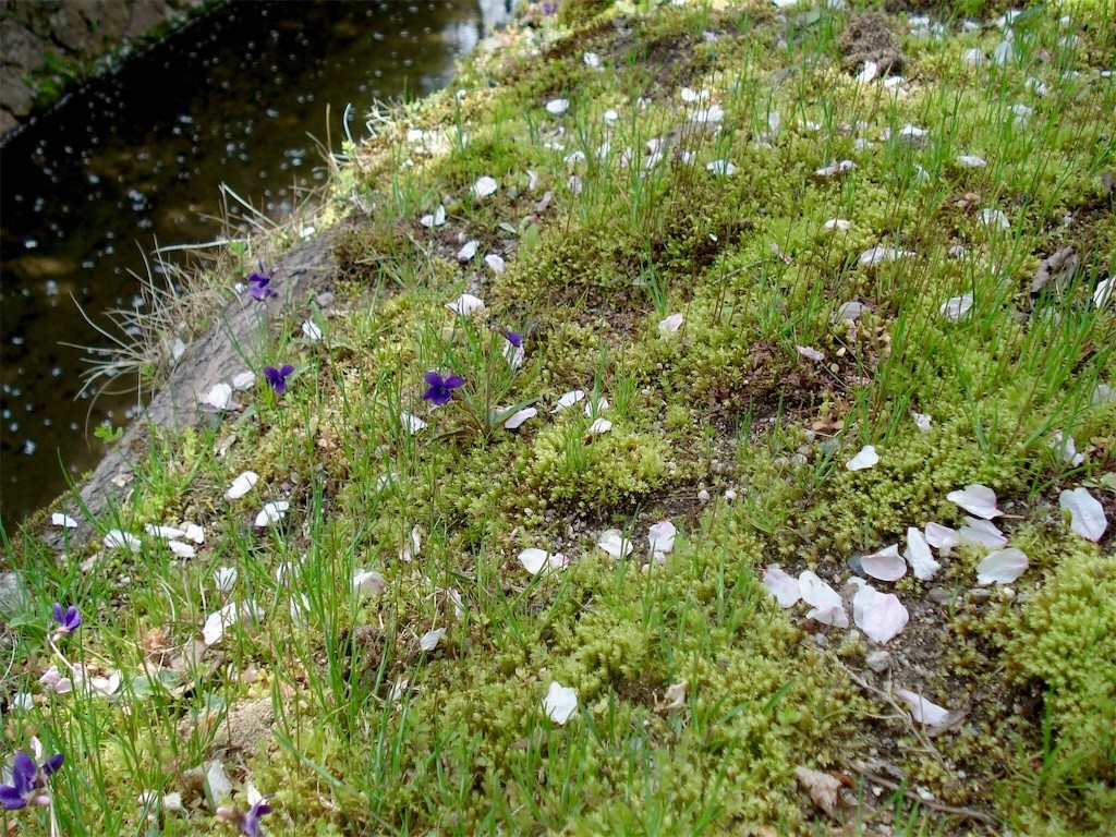 f:id:joju8:20190915125405j:plain