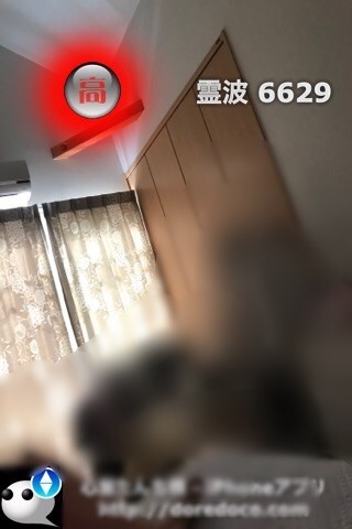 f:id:joju8:20190930120116j:image