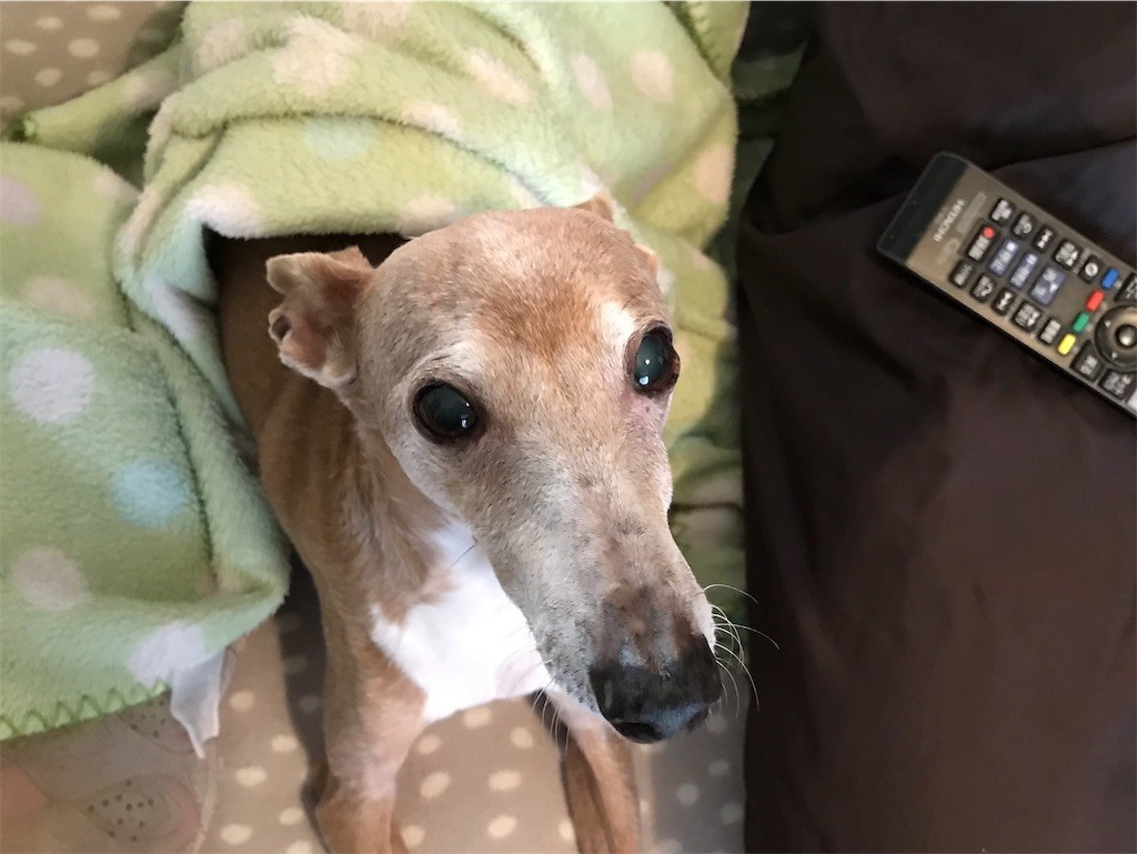 f:id:joju8:20191001004235j:image