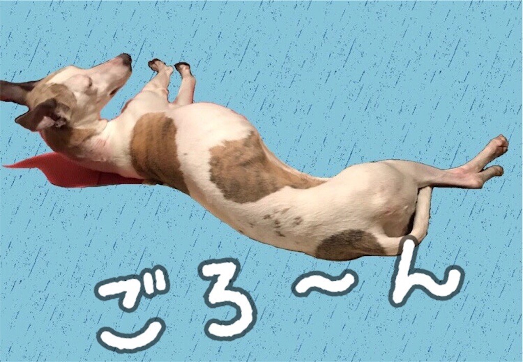 f:id:joju8:20191003093657j:plain