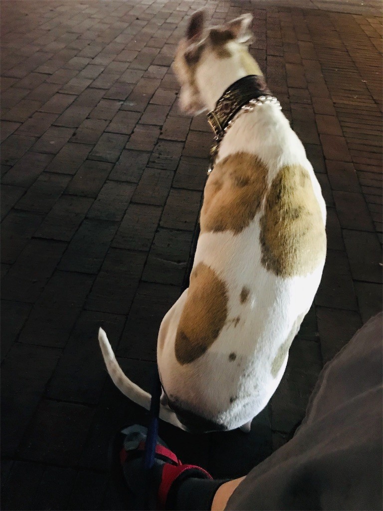 f:id:joju8:20191003111607j:image