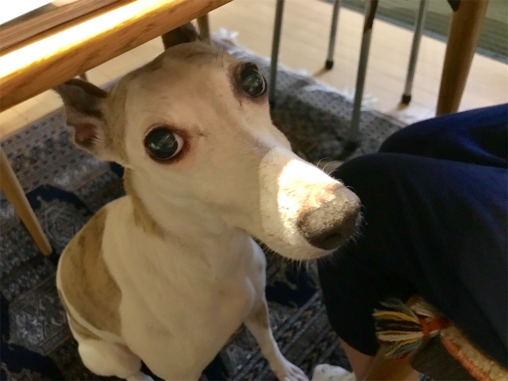 f:id:joju8:20191003111954j:image