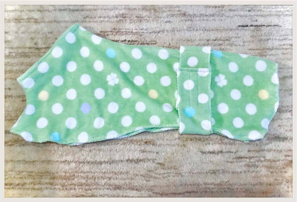 f:id:joju8:20191026220716j:image