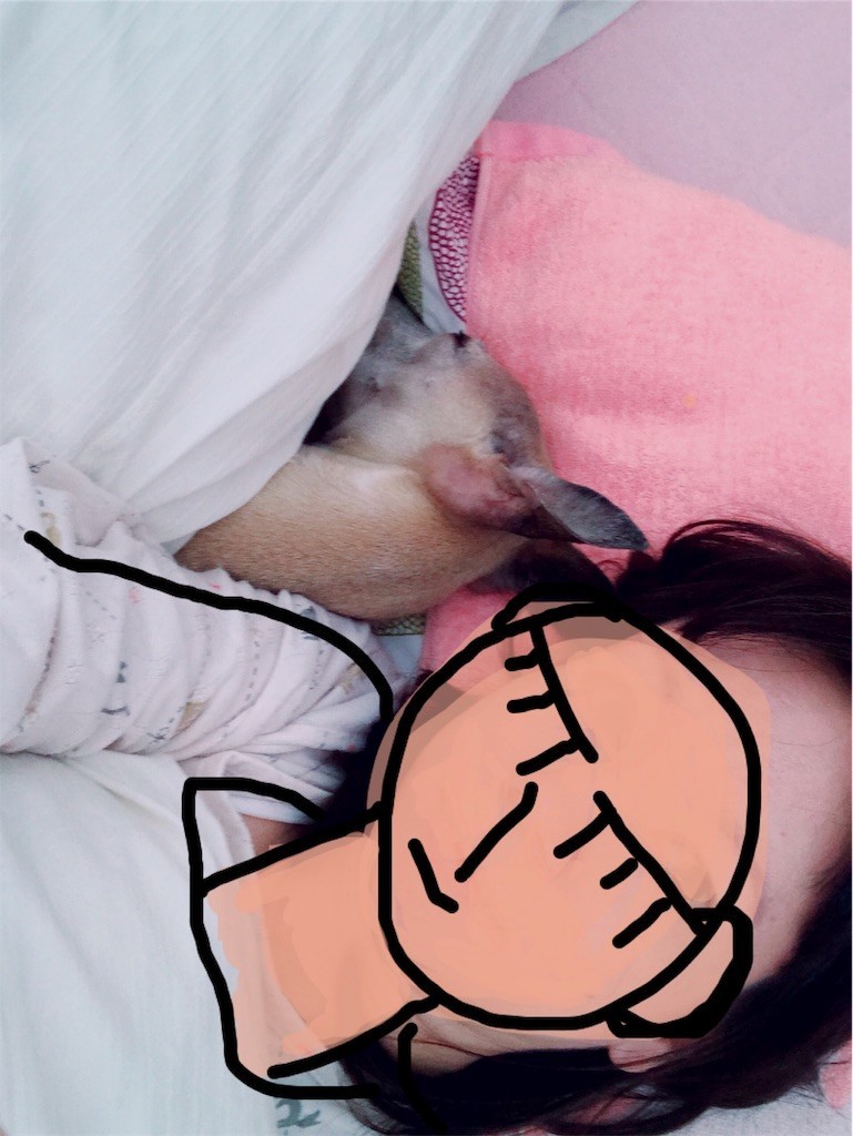 f:id:joju8:20191213123159j:image