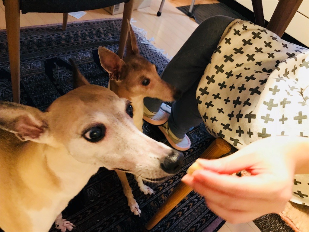 f:id:joju8:20191213123202j:image