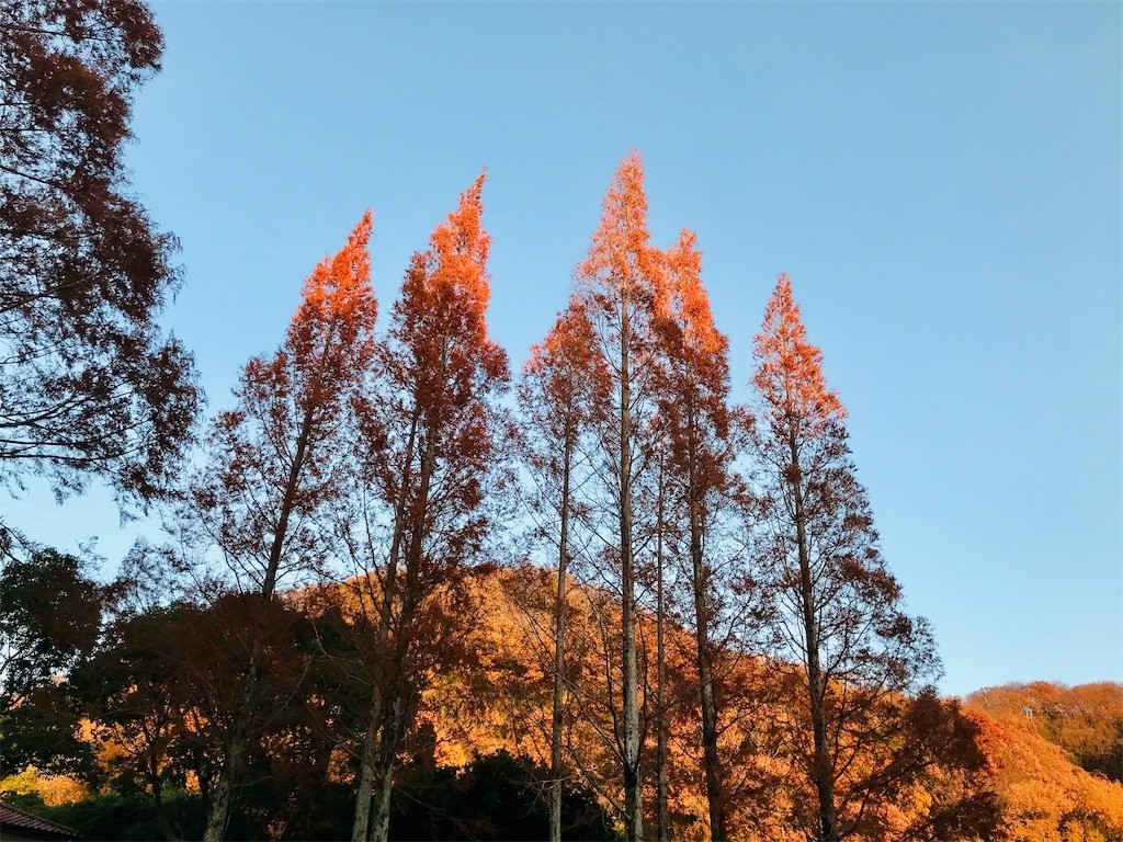 f:id:joju8:20191228141027j:image