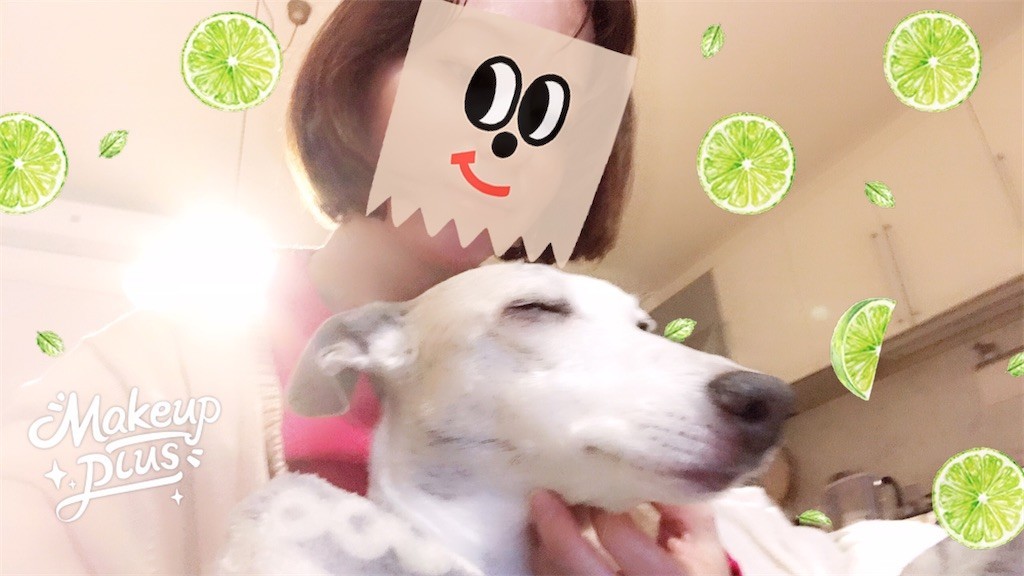 f:id:joju8:20200306215836j:image
