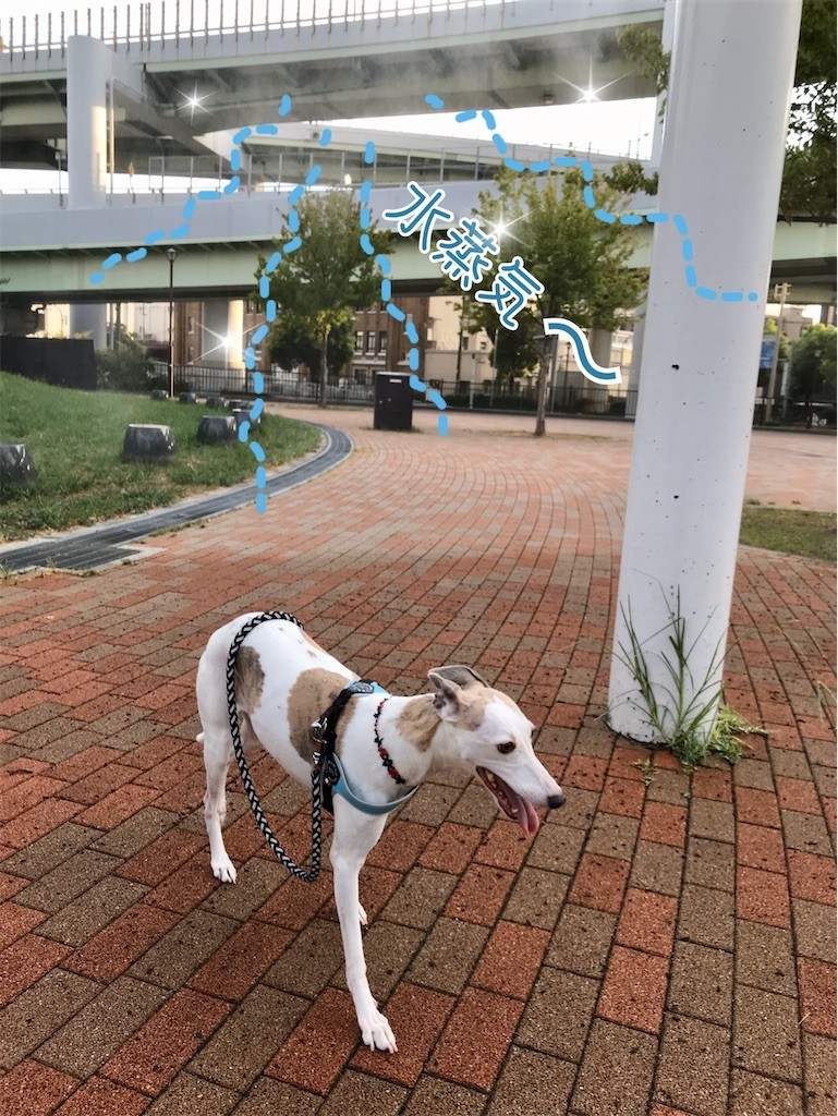 f:id:joju8:20200904162441j:plain f:id:joju8:20200904162441j:plain