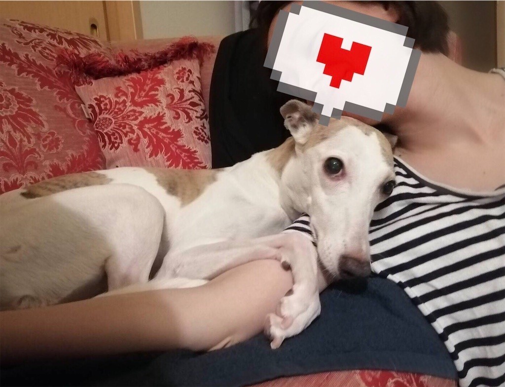 f:id:joju8:20200905123622j:plain f:id:joju8:20200905123622j:plain