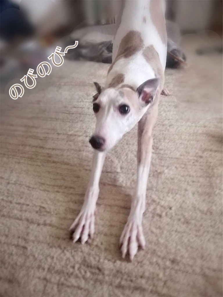 f:id:joju8:20200905160153j:image f:id:joju8:20200905160153j:image