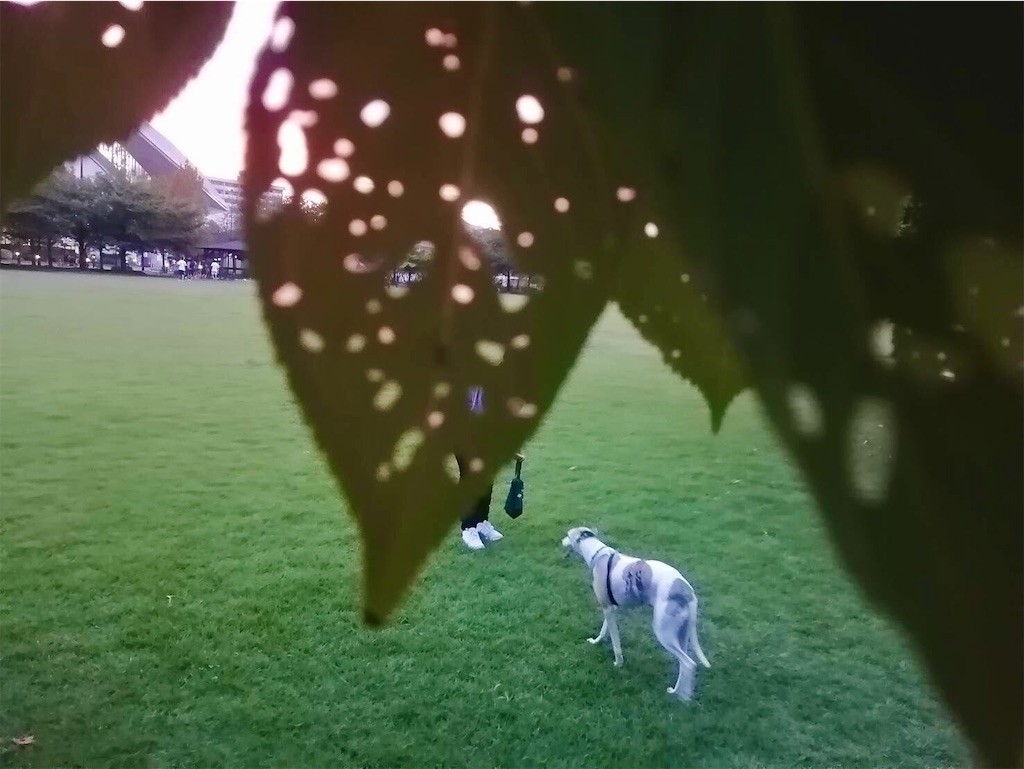 f:id:joju8:20210924111900j:image