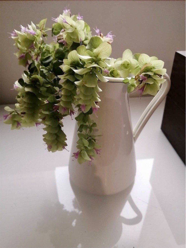 f:id:joju8:20210924111938j:image