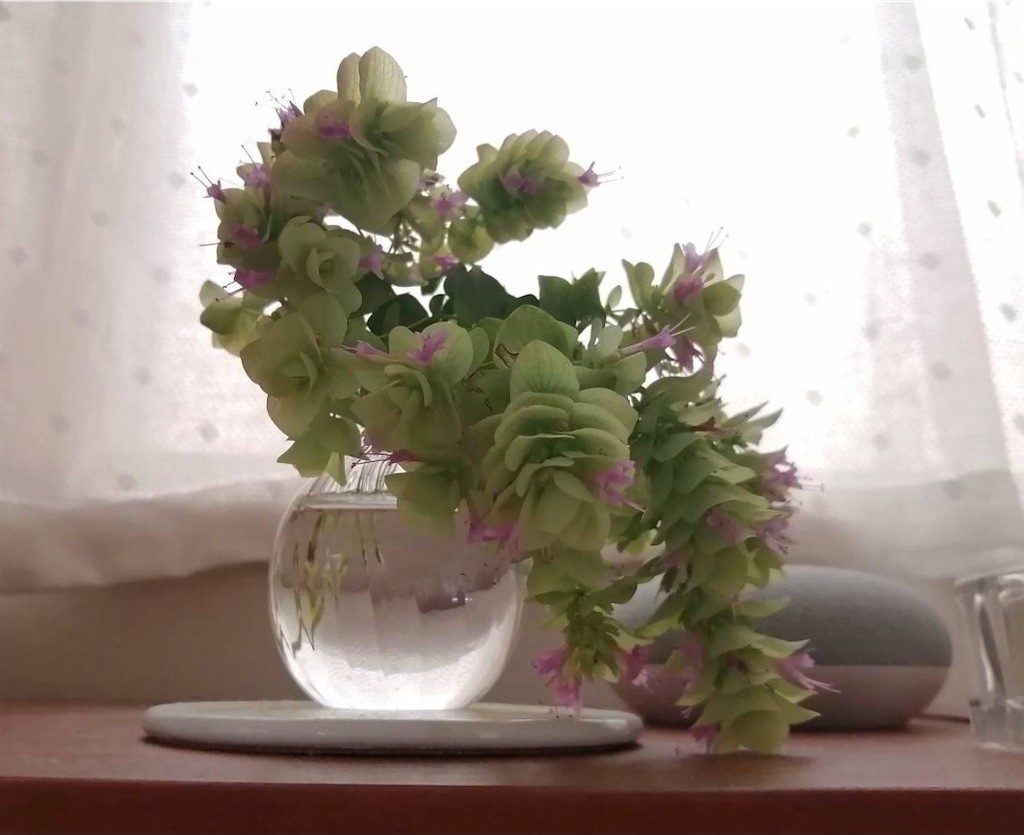 f:id:joju8:20210924111940j:image